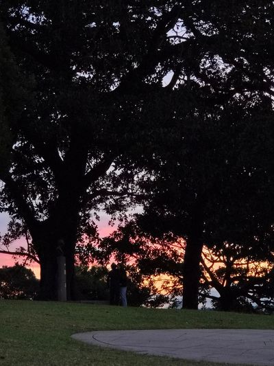 Observatory Hill Rotunda