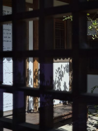 곡물집