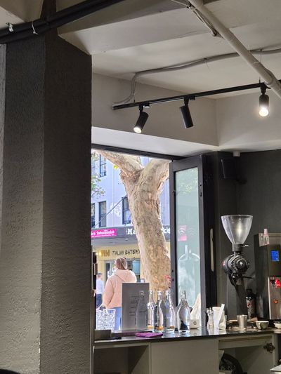 Algorithm Cafe Potts Point