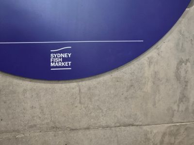 Sydney Fish Market
