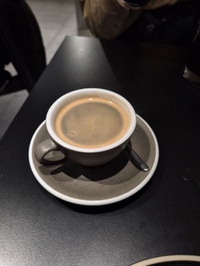 Algorithm Cafe Potts Point