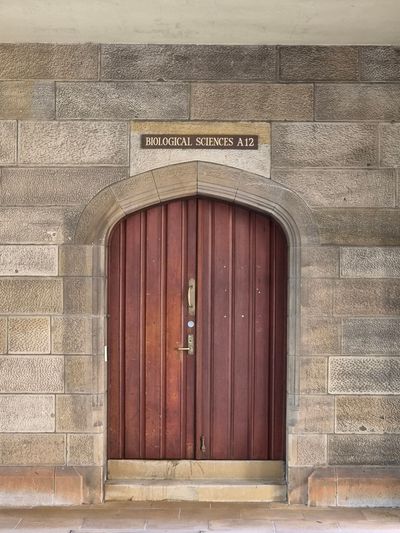 The University of Sydney