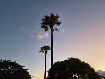 Pirrama Park Public BBQ