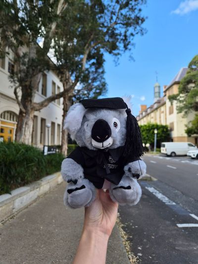 The University of Sydney