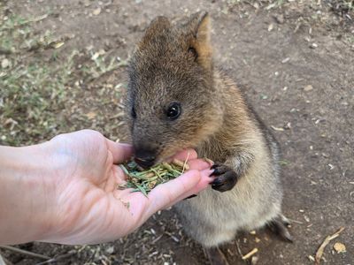 Featherdale Sydney Wildlife Park