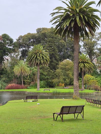 Royal Botanic Gardens Victoria - Melbourne Gardens