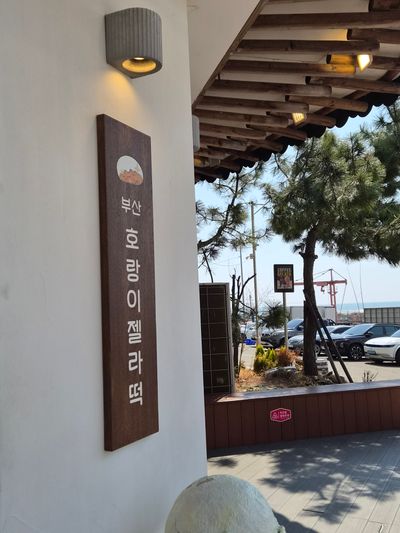 호랑이젤라떡 부산해운대본점