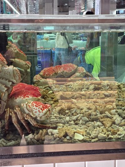 Sydney Fish Market