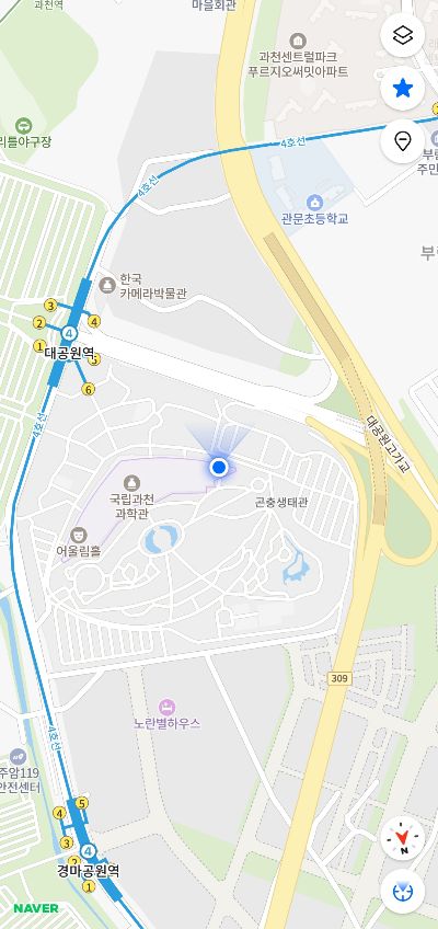 Solo Picture Frame Seedling in Gwacheon-si, Gyeonggi-do