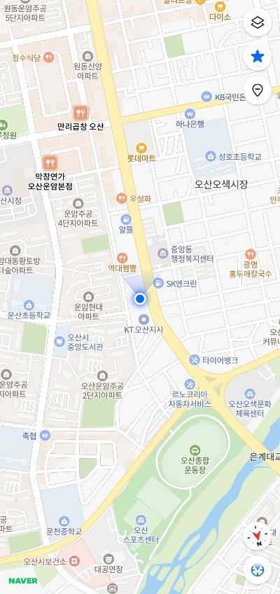 경기도 오산시 버섯 & 바나나 단독 모종