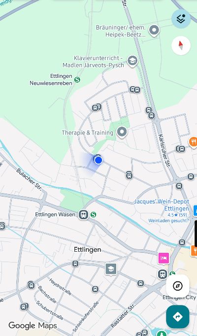 바덴뷔르템베르크 Ettlingen 빅플라워 엽서
